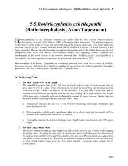 5.5 Bothriocephalus acheilognathi (Bothriocephalosis, Asian