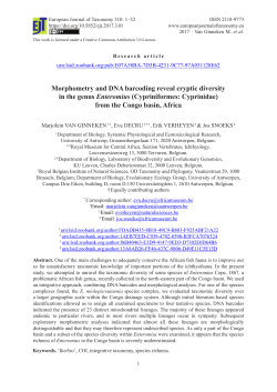 Morphometry and DNA barcoding reveal cryptic diversity in the