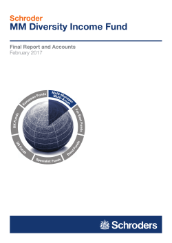 MM Diversity Income Fund