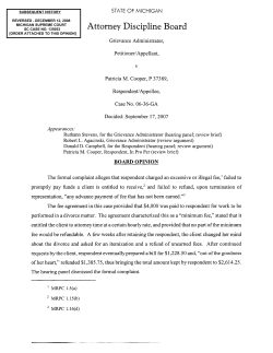 Board Opinion - Issued September 17, 2007