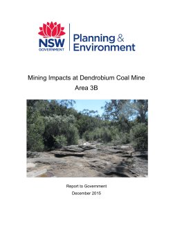 Mining Impacts at Dendrobium Coal Mine Area 3B
