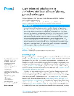 Light enhanced calcification in Stylophora pistillata: effects of