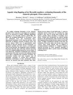 swimming kinematics of the Antarctic pteropod, Clione antarctica