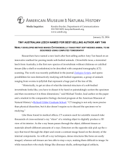 tiny australian leech named for best