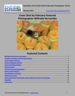 Cover Shot by February Featured Photographer Wilfredo Hernandez