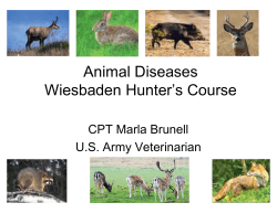 Animal Diseases Wiesbaden Hunter`s Course