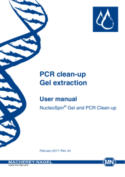 PCR clean-up Gel extraction - Macherey
