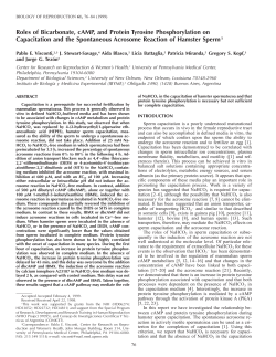 Roles of Bicarbonate, cAMP, and Protein Tyrosine Phosphorylation