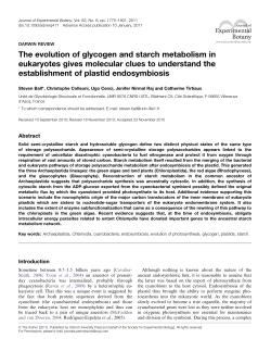 The evolution of glycogen and starch metabolism in eukaryotes
