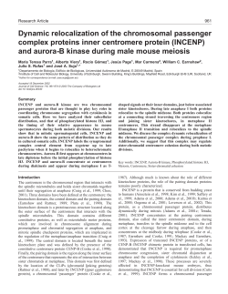 (INCENP) and aurora-B kinase durin - Journal of Cell Science