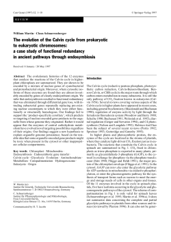 The evolution of the Calvin cycle from prokaryotic to