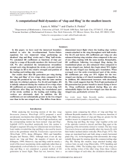 A computational fluid dynamics of `clap and fling` in the