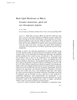 Black Lipid Membranes at Bifaces Formation characteristics, optical