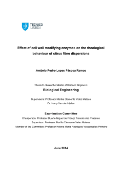 Effect of cell wall modifying enzymes on the rheological behaviour of