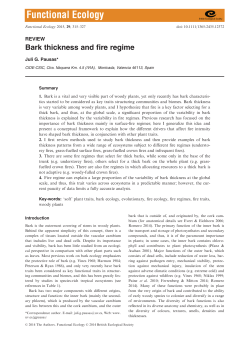 Bark thickness and fire regime