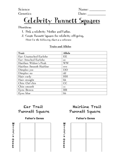 Celebrity Punnett Squares handout
