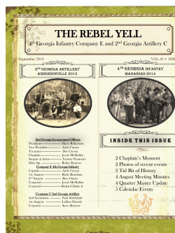 the rebel yell - 4th Georgia Co. E Volunteer Infantry