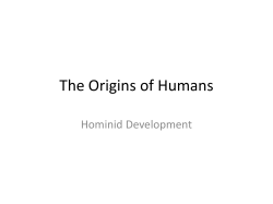 The Origins of Humans