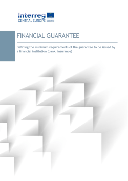 Model of financial guarantee (pdf 0.3 MB)