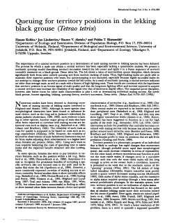 Queuing for territory positions in the lekking