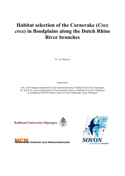 in floodplains along the Dutch Rhine River branches