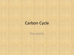Photosynthesis and Respiration