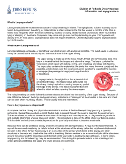 Division of Pediatric Otolaryngology Information on