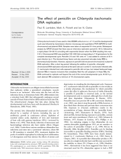 The effect of penicillin on Chlamydia trachomatis DNA replication