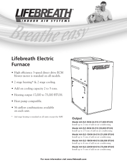 Lifebreath Electric Furnace