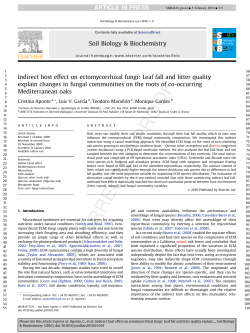 Indirect host effect on ectomycorrhizal fungi: Leaf fall and