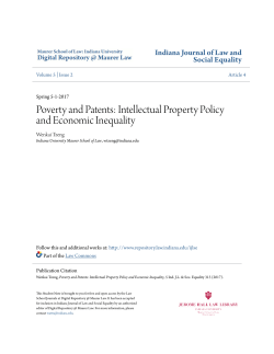 Intellectual Property Policy and Economic Inequality