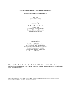 guidelines for handling desert tortoises