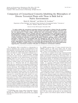 Comparison of Crenarchaeal Consortia Inhabiting the Rhizosphere