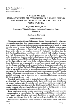 a study of the instantaneous air velocities in a plane behind the