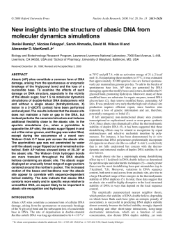 New insights into the structure of abasic DNA from molecular