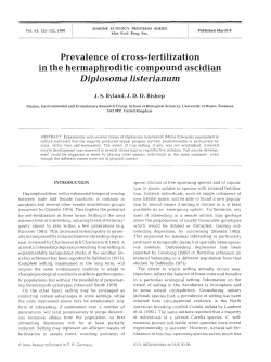 Prevalence of cross-fertilization in the hermaphroditic compound