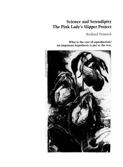 Science and Serendipity: The Lady`s Slipper Project
