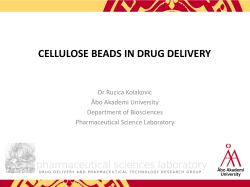 CELLULOSE BEADS IN DRUG DELIVERY