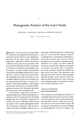 Phylogenetic Position of the Giant Panda