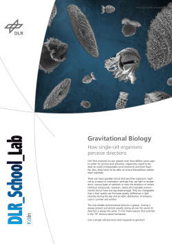 Experiment description Gravitational Biology