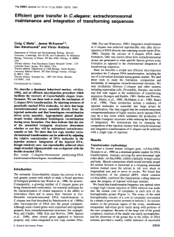 extrachromosomal maintenance and integration of transforming