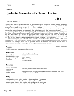 Lab 1 Qualitative Lab
