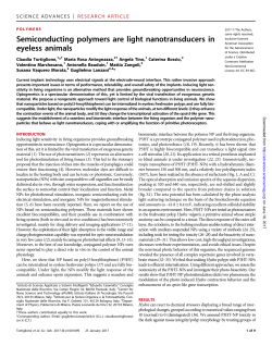 Semiconducting polymers are light nanotransducers in eyeless