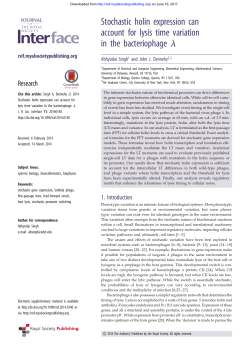 Stochastic holin expression can account for lysis time variation in the