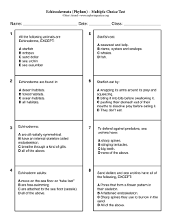 Echinodermata (Phylum) &ndash; Multiple Choice Test