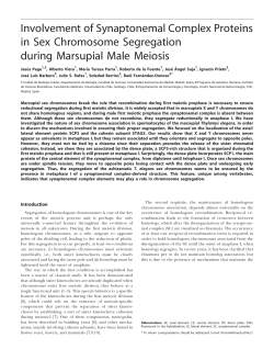 Involvement of Synaptonemal Complex Proteins in Sex