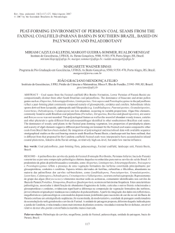 peat-forming environment of permian coal seams from the faxinal