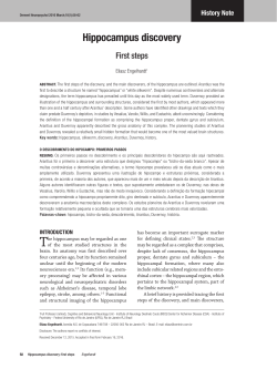 Hippocampus discovery