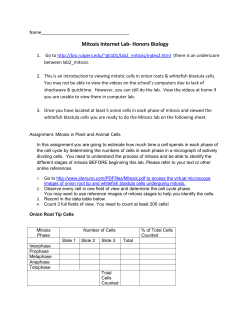 Mitosis Internet Lab