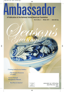 Ambassador winter 2011